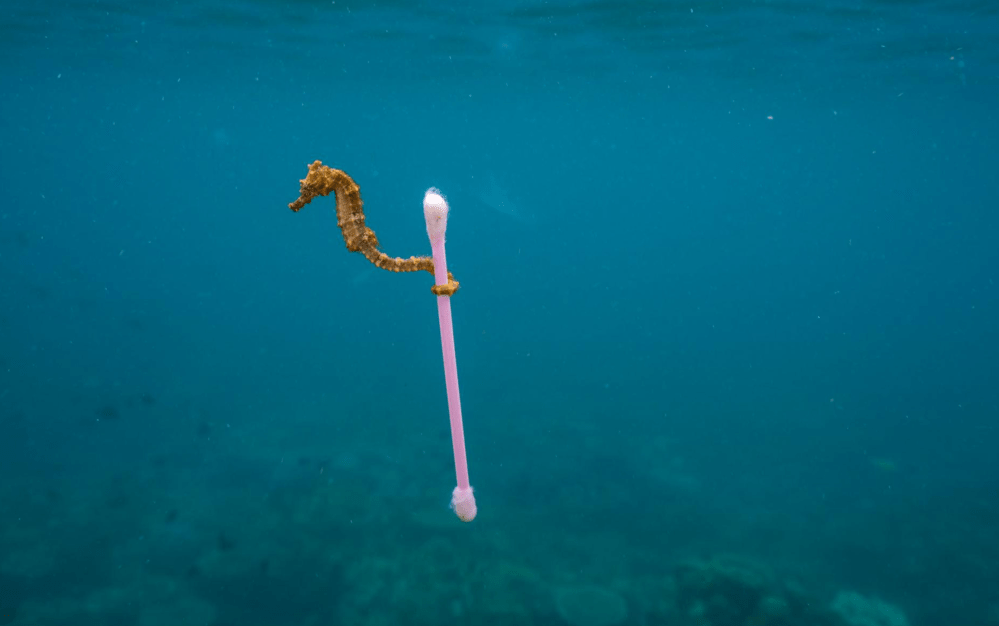 Screen Shot 2018-08-15 at 1.03.33 AM