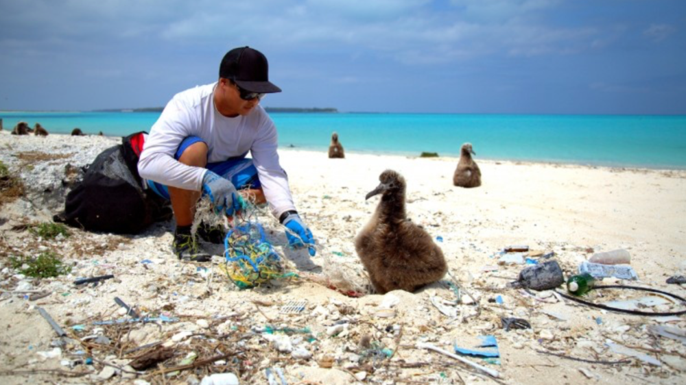 Screen Shot 2018-08-15 at 1.19.04 AM.png