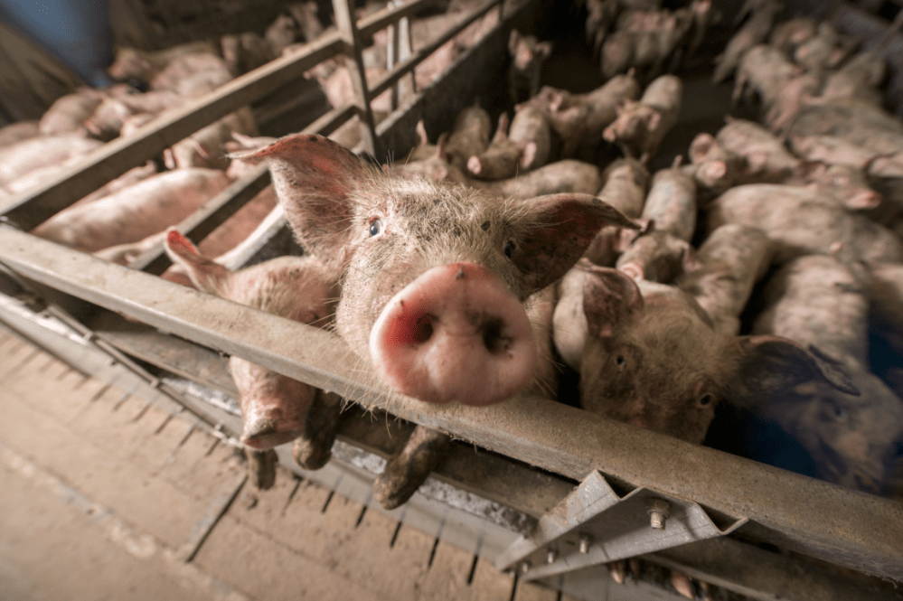 Screen Shot 2018-10-20 at 5.11.05 PM.png