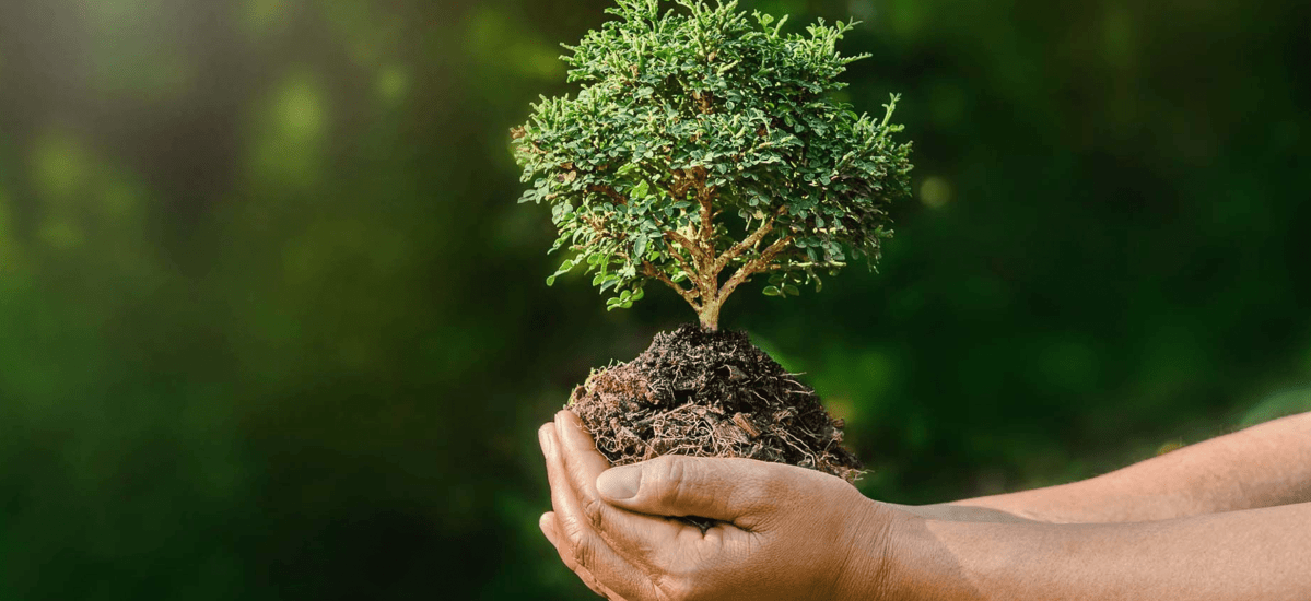 Environmental Wins in 2018 – Point Source