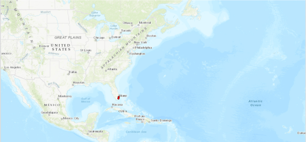 Screen Shot 2019-12-07 at 12.09.36 AM.png