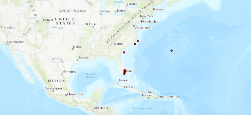 Screen Shot 2019-12-07 at 12.10.27 AM.png