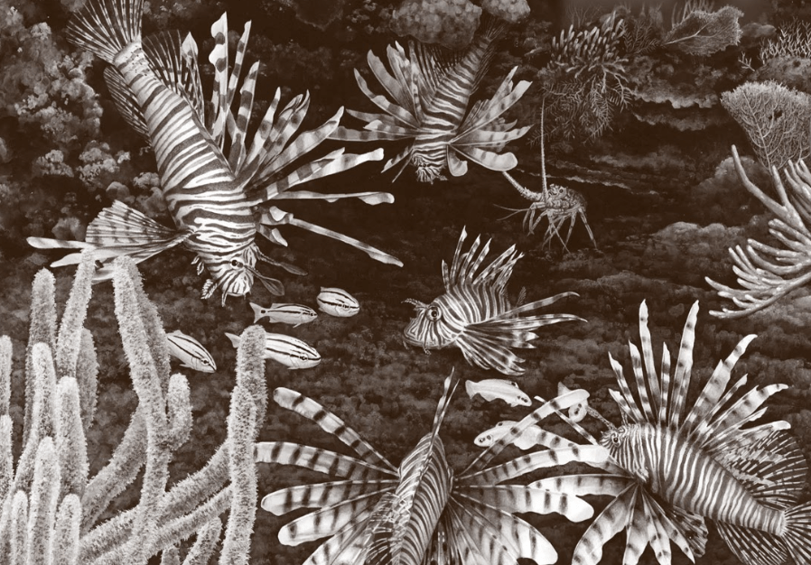 Screen Shot 2019-12-19 at 8.51.03 PM