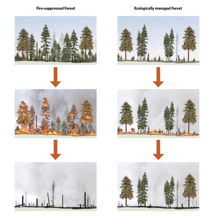 Screen Shot 2020-01-08 at 4.37.50 PM.png