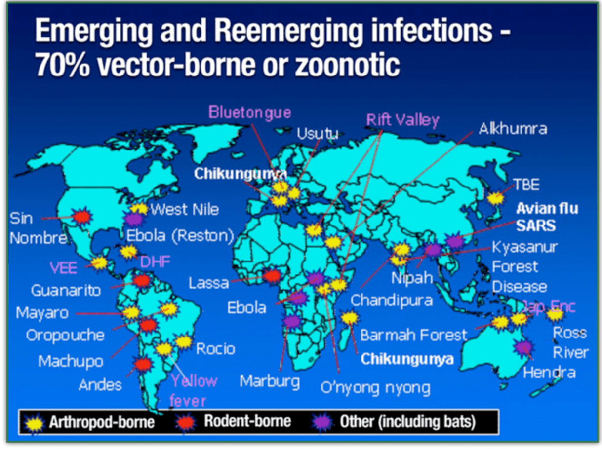 Screen Shot 2020-03-31 at 4.09.32 PM