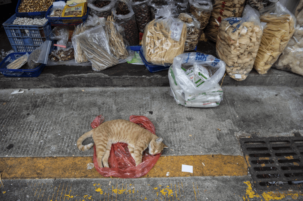 Screen Shot 2020-03-31 at 4.39.57 PM